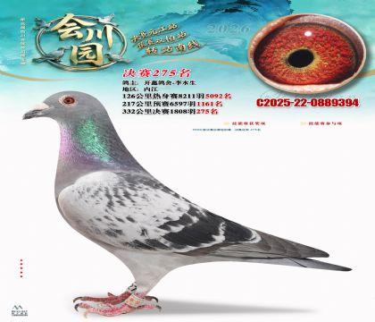 �ᴨ԰����275��