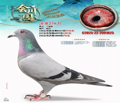 �ᴨ԰����276��