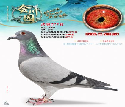 �ᴨ԰����277��