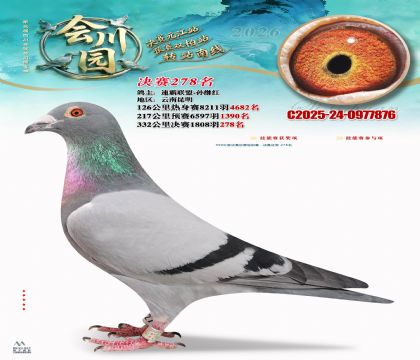 �ᴨ԰����278��