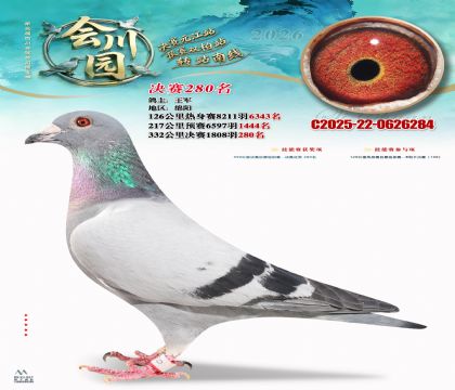 �ᴨ԰����280��