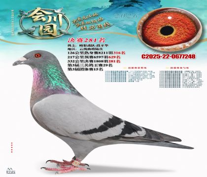 �ᴨ԰����281��