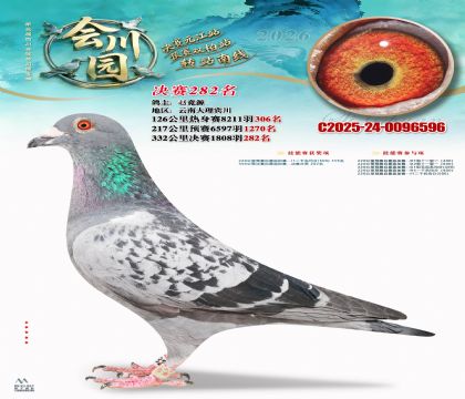 �ᴨ԰����282��