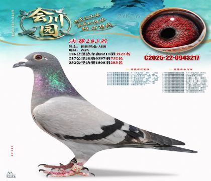 �ᴨ԰����283��