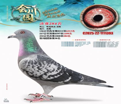 �ᴨ԰����284��