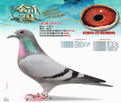 �ᴨ԰����285��