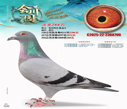 �ᴨ԰����288��