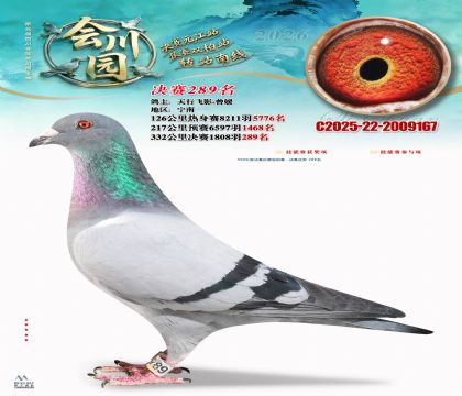 �ᴨ԰����289��