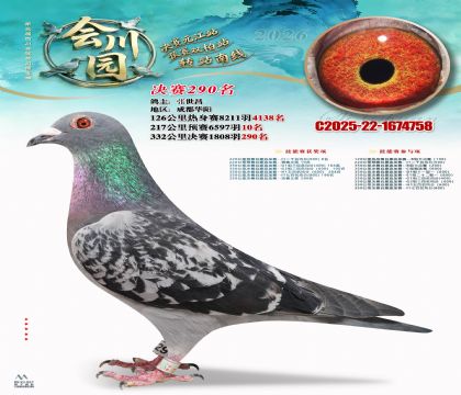 �ᴨ԰����290��