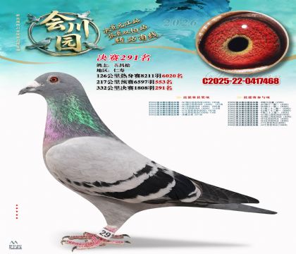 �ᴨ԰����291��