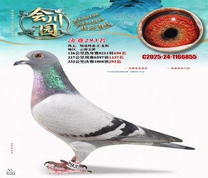 �ᴨ԰����293��