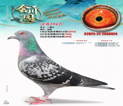 �ᴨ԰����294��