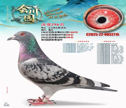 �ᴨ԰����296��