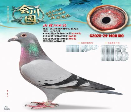 �ᴨ԰����300��