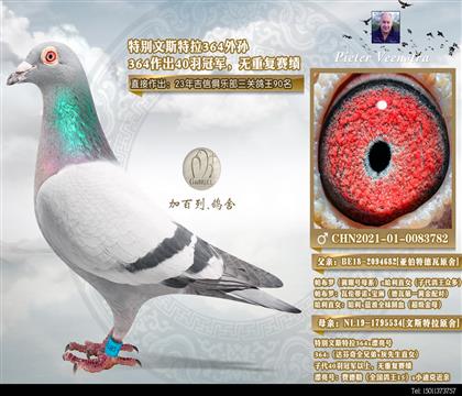 682ֱ��-�ھ�����