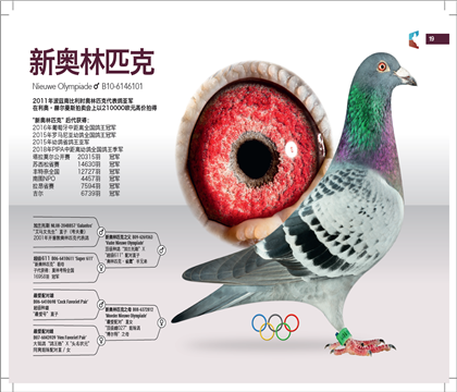 �°���ƥ��