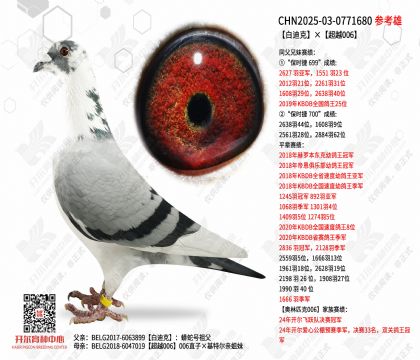 �׵Ͽˡ���Խ006