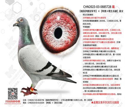 �������ʹھ��š��������������Ҵơ�ֱŮ