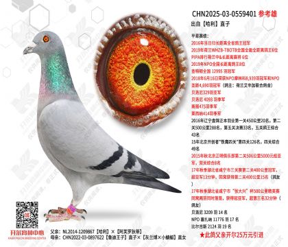 ���Թ���ֱ��