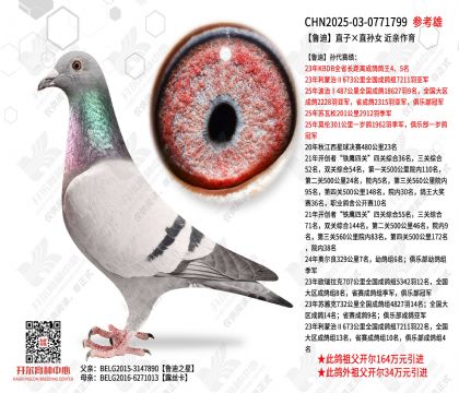 ³��ֱ�ӡ�ֱ��Ů   ��������