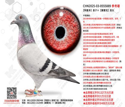 ������ֱ�ӡ����׿�ֱŮ