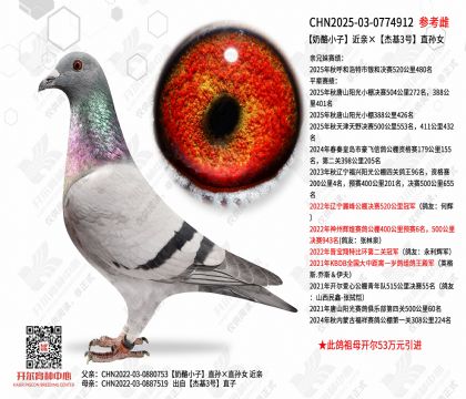 ����С�ӽ��ס��ܻ�3��ֱ��Ů