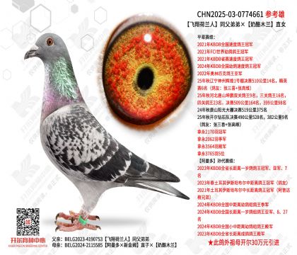 ���������ͬ���ܵܡ�����ľ��ֱŮ