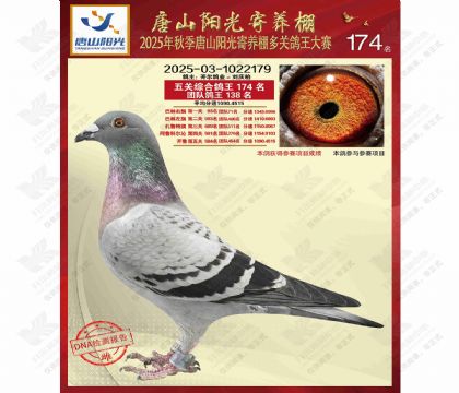 25������ɽ�������������ۺϸ���174��