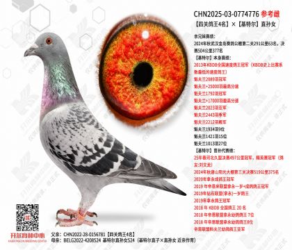 �Ĺظ���4���������ض���ֱ��Ů