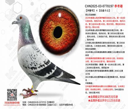 ���š��׽�ʿ