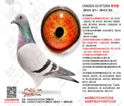 ��484ֱ�ӡ���483ֱŮ