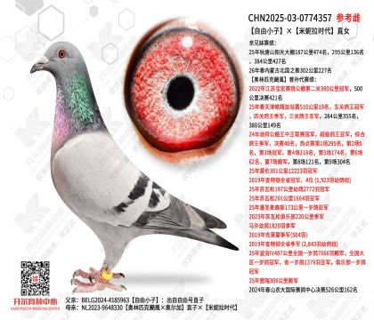 ����С�ӡ�������ʱ��ֱŮ