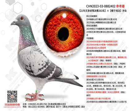 21�����׿�����263����ñ��Ϸ����Ů