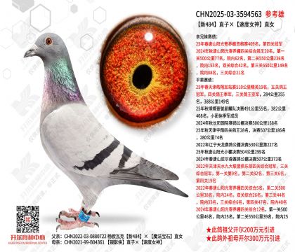 ��484ֱ�ӡ��ٶ�Ů��ֱŮ