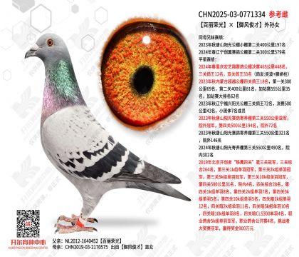 �����ٹ�����翡������Ů