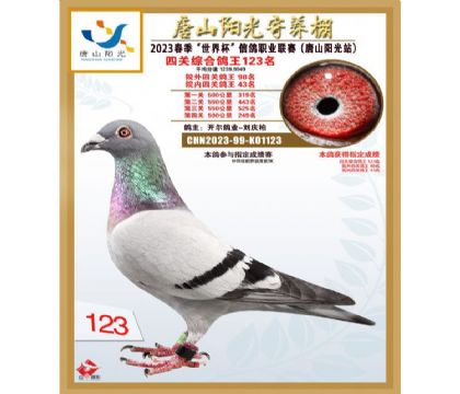 2����-K01123