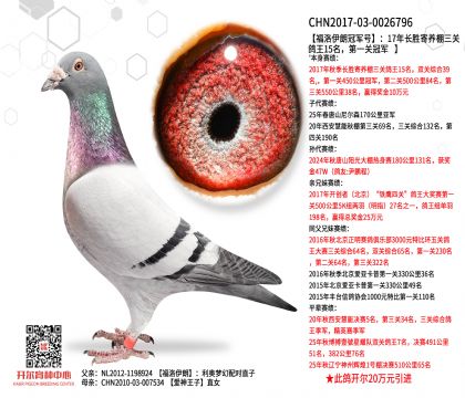 2.����-0026796