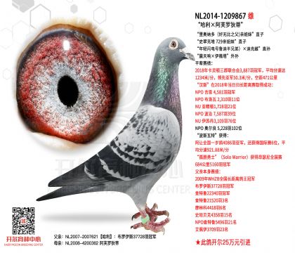 2����-1209867