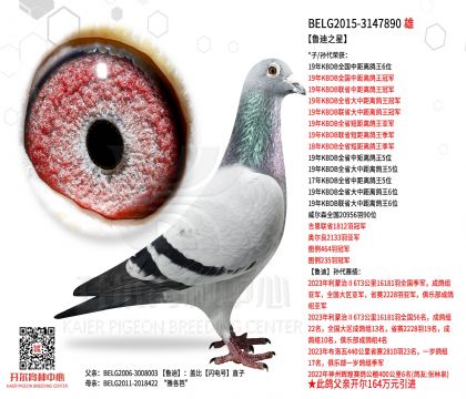 2����-3147890