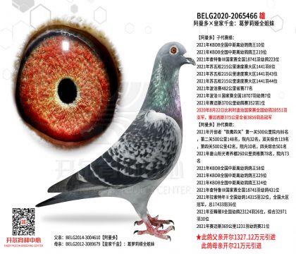 2����-2065466