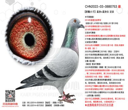 2.����-0880753