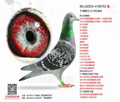 2����-4190753