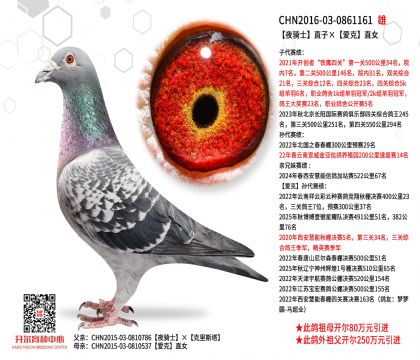 2����-0861161