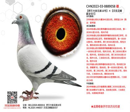 2.����-0889058