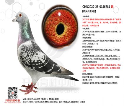 2����-0156781