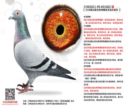 2.����485-K01662