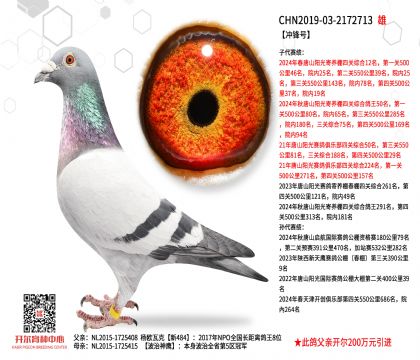 2����-2172713