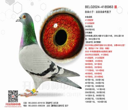 2����-4185963