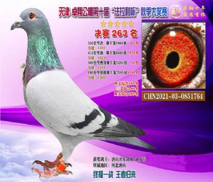 2����-0851764