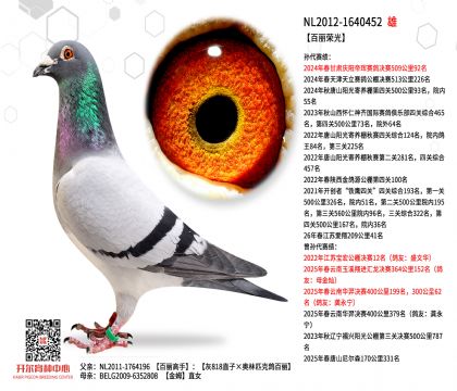 2����-1640452